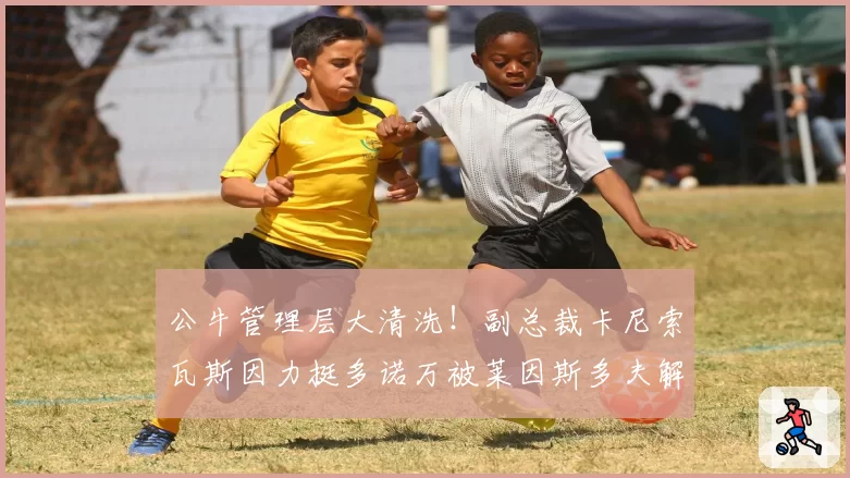 公牛管理层大清洗！副总裁卡尼索瓦斯因力挺多诺万被莱因斯多夫解雇